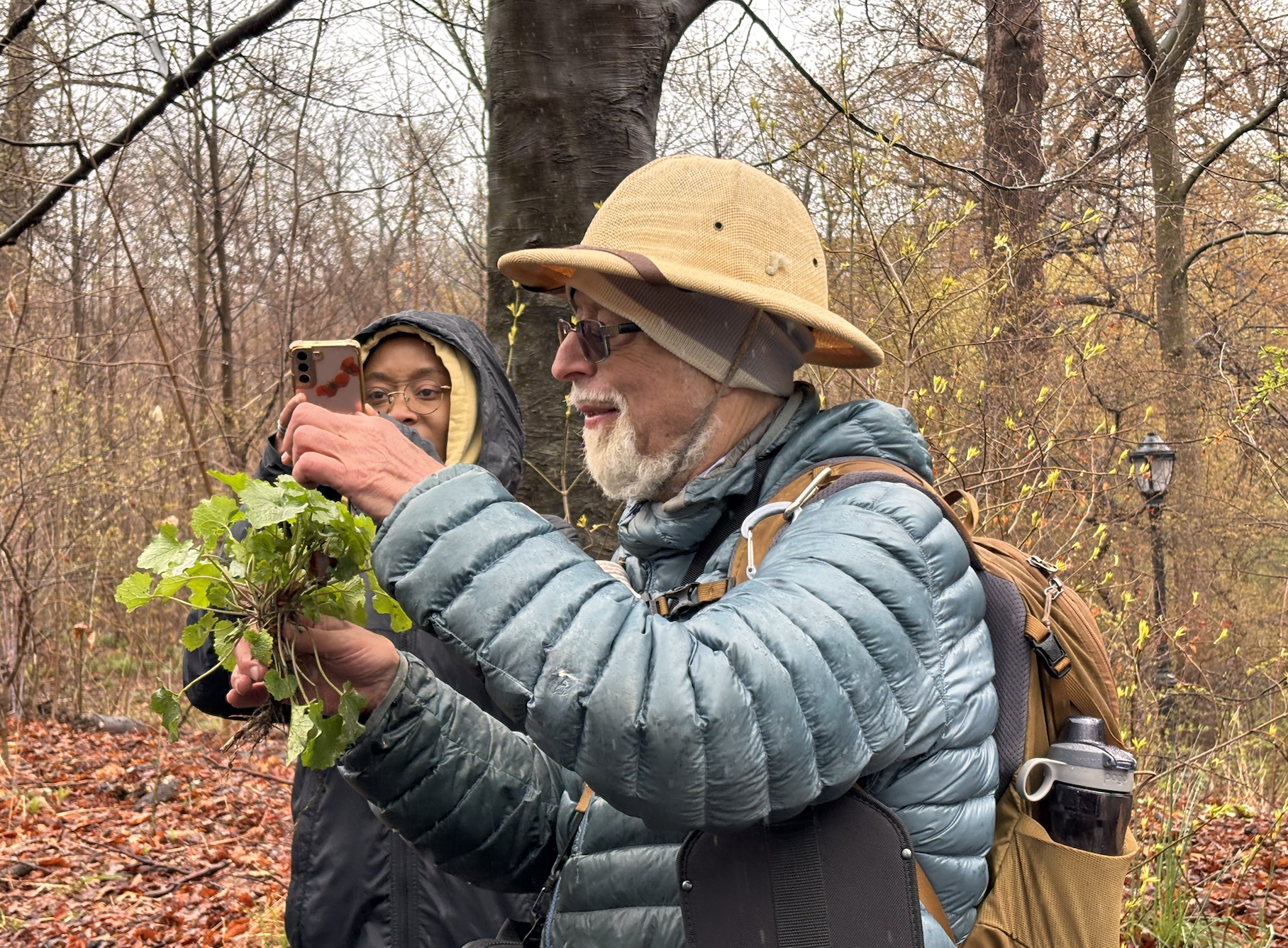 NYC Foraging